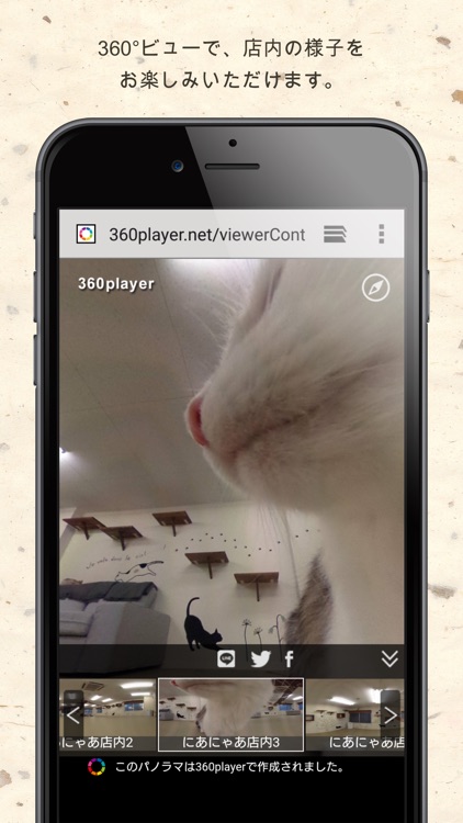 にあにゃあ screenshot-4