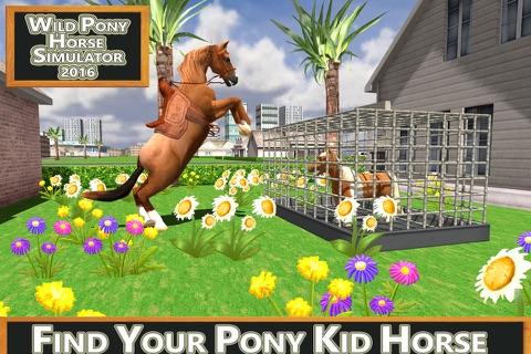 Wild Pony Horse Simulator 2016 screenshot 2