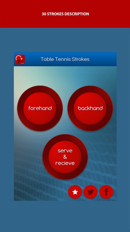 Table Tennis Strokes screenshot-4