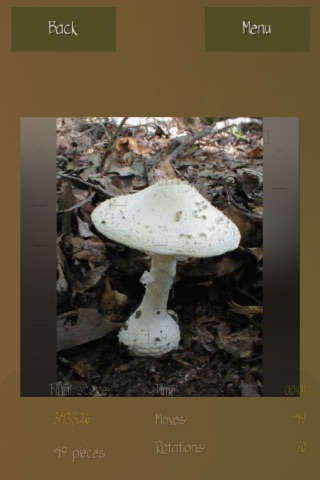 Mushrooms Puzzles Collection screenshot 2