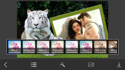 Tiger Photo Frame - Great and Fantastic Frames for your photoのおすすめ画像3