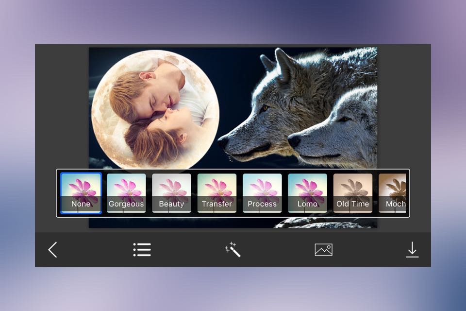 Wolf Photo Frame - Great and Fantastic Frames for your photo screenshot 3
