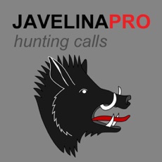 Activities of REAL Javelina Calls -- Javelina Sounds to use as Hunting Calls