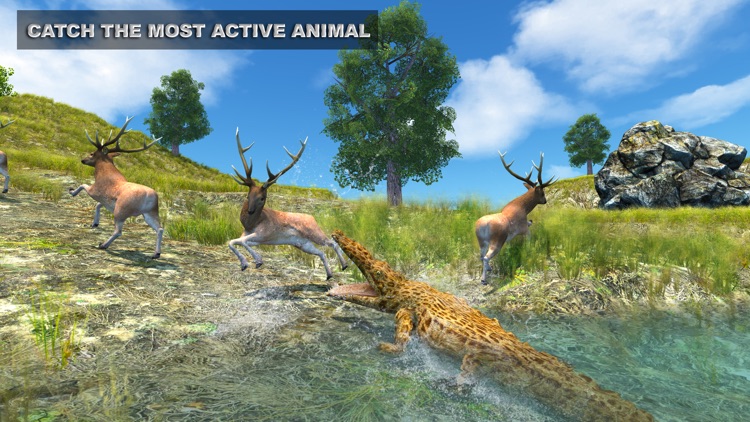 Life of Crocodile - Wild Simulator