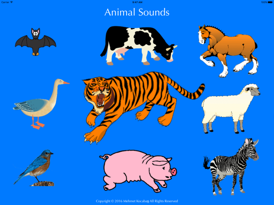 Screenshot #4 pour Les sons d'animaux | apprendre