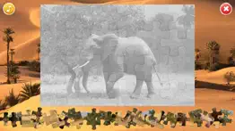 african animals puzzle iphone screenshot 3