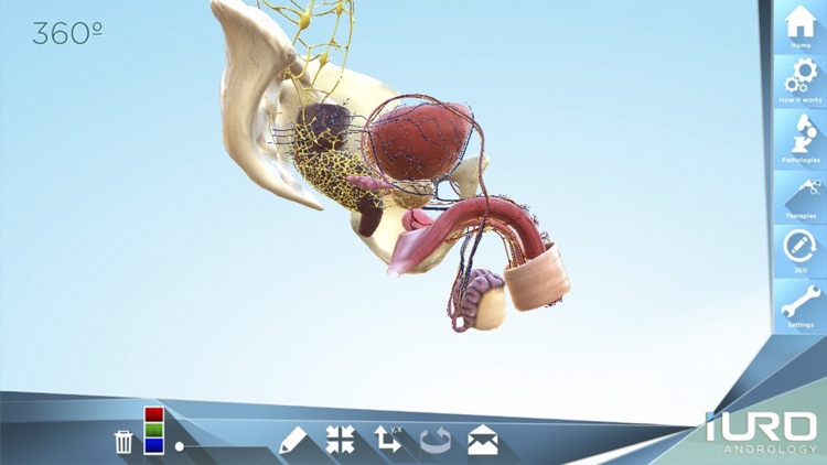 iURO Andrology PRO screenshot-4