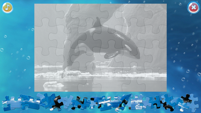 Arctic Animals Puzzle