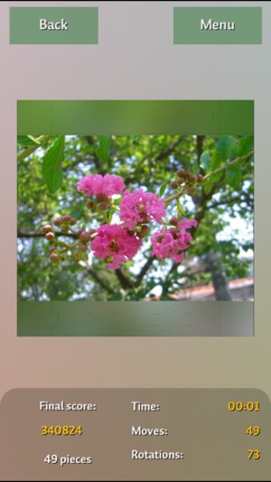 Flowers Colors Puzzles(圖1)-速報App