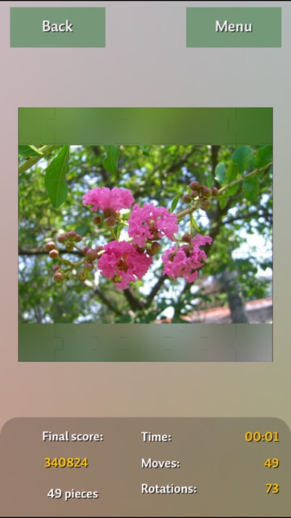 Flowers Colors Puzzles