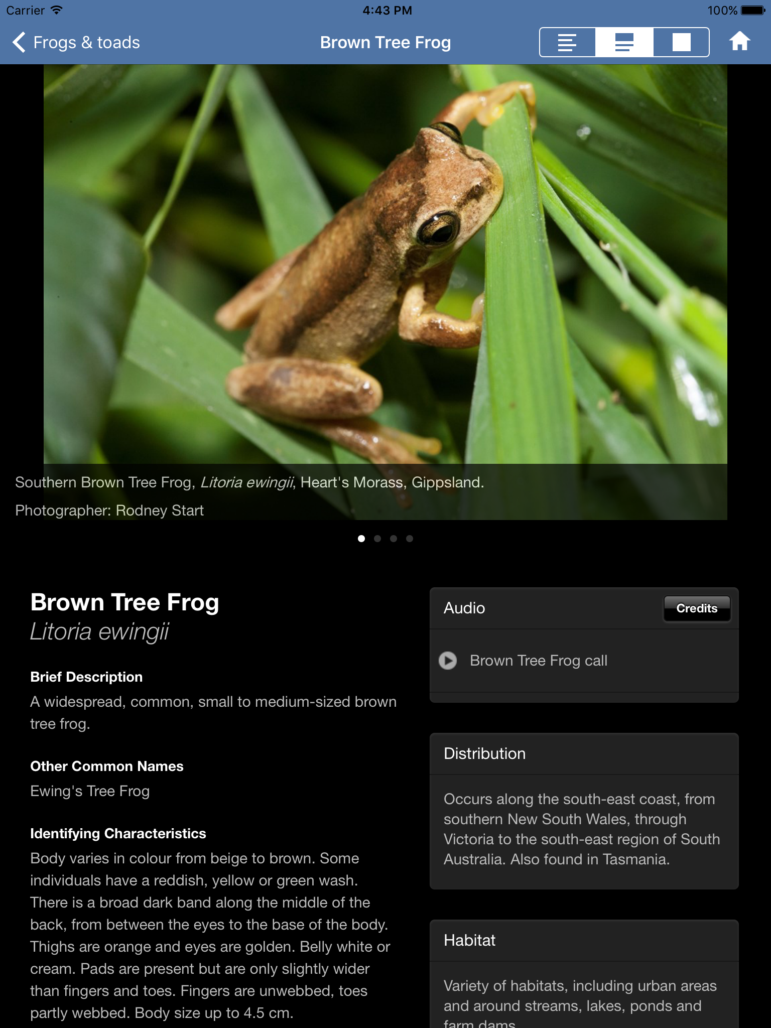 Wildlife Field Guide to Gippsland Lakes
