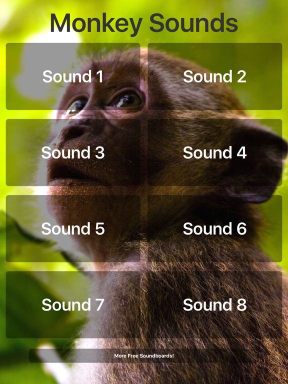 Monkey Sounds! iPad screenshot 1 - Entertainment app
