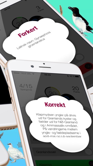 Greenland Quiz(圖5)-速報App