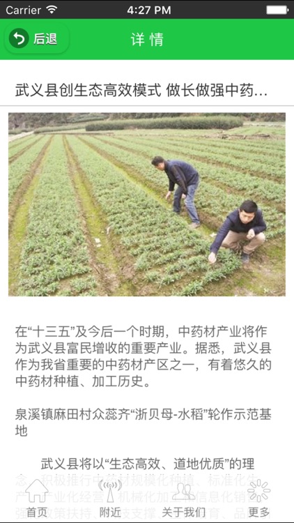 中国中药材信息网