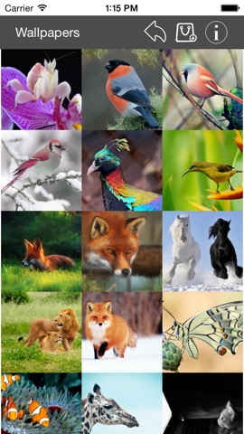 Wallpaper Collection Animals Editionのおすすめ画像1