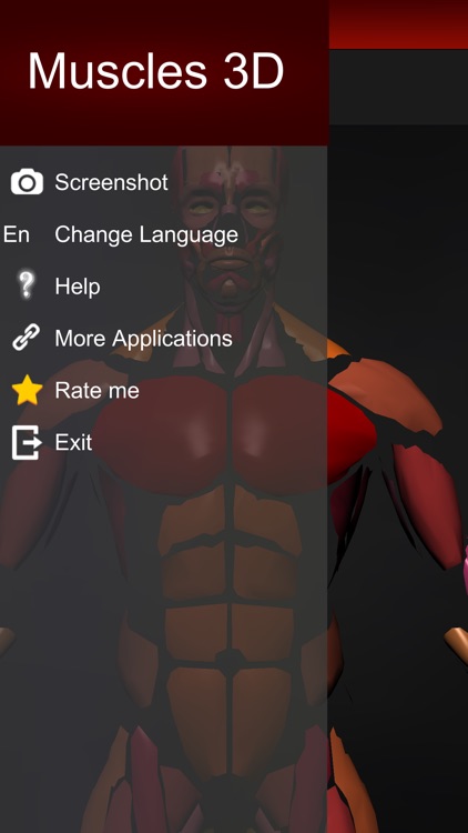 Muscular System 3D (anatomy) screenshot-3