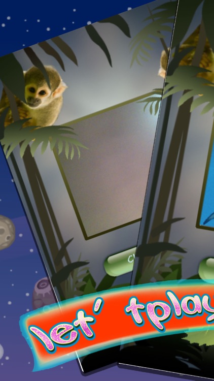 Small Animal Research:Animal care Game