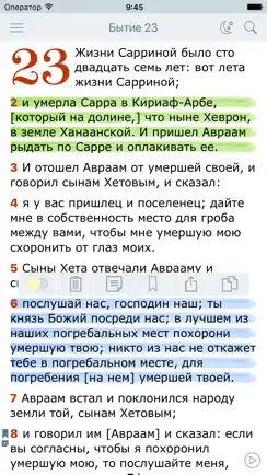 Аудио Библия Синодальный Перевод. Bible in Russian iPhone image 1