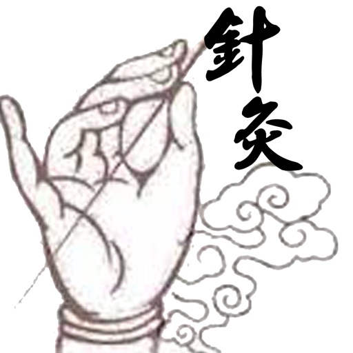 汉英针灸辞典 icon