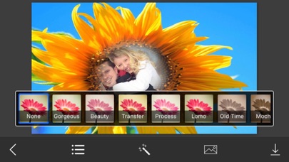 Screenshot #3 pour Sunflower Photo Frames - Creative Frames for your photo