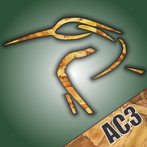 AC3 icon