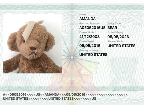 Teddy Bear Passport / Travel Photo Card ID Maker with Travel Stampsのおすすめ画像2