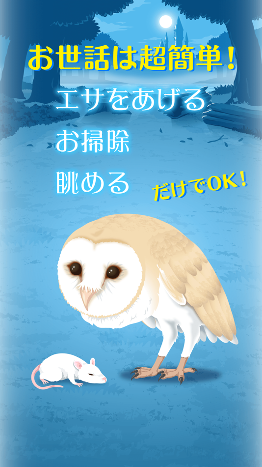 #2. Owl Simulation Game (iOS) 由: tack