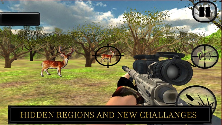 Wild Deer Hunting 2016