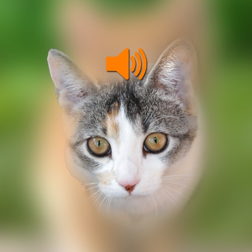 Cat sounds effects icon