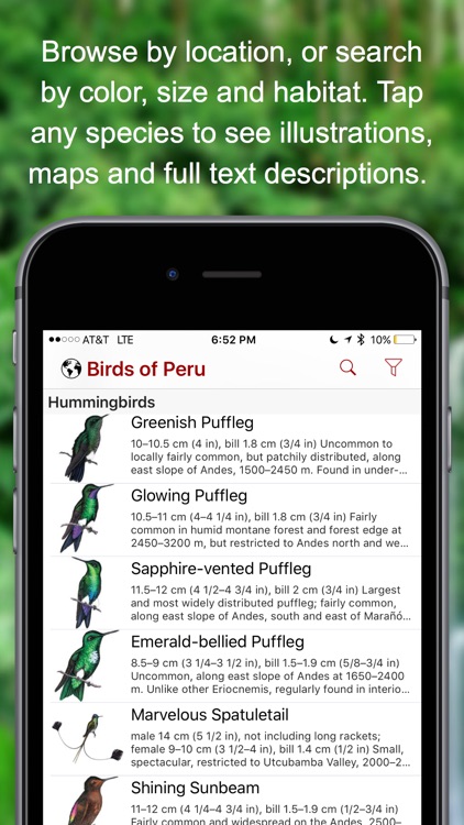 Birds of Peru