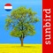 A stunning visual guide to identifying trees of the Netherlands