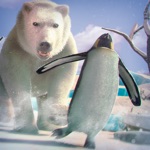 Funny Penguin Racing Challenge  Free Game For Kids