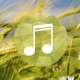 Wind sounds:Calming sounds of nature for relaxation and forest ambience for stress relief app icon - Health & Fitness app for iPhone