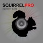 REAL Squirrel Calls and Squirrel Sounds for Hunting! app download