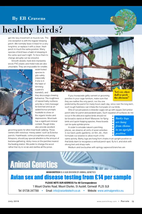 Parrots magazine
