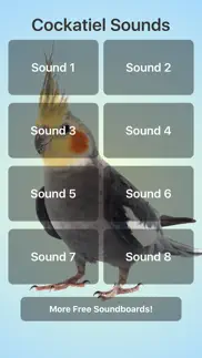 cockatiel sounds iphone screenshot 1