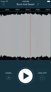wiretap riff recorder iphone resimleri 3