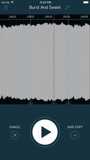 WireTap Riff Recorder iPhone Ekran Görüntüsü 3