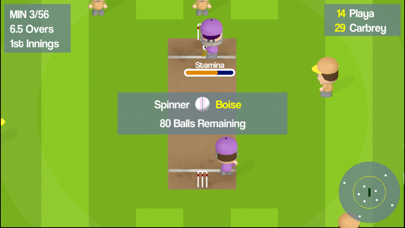 Smashtastic Cricket Screenshot