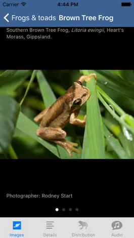 Game screenshot Wildlife Field Guide to Gippsland Lakes apk