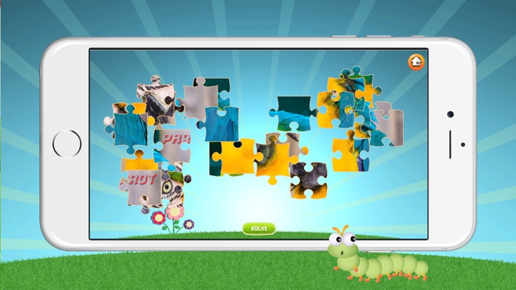 Cute Bird & Animal Jigsaw Puzzle - Educational Fun Games For Kids And Toddlers