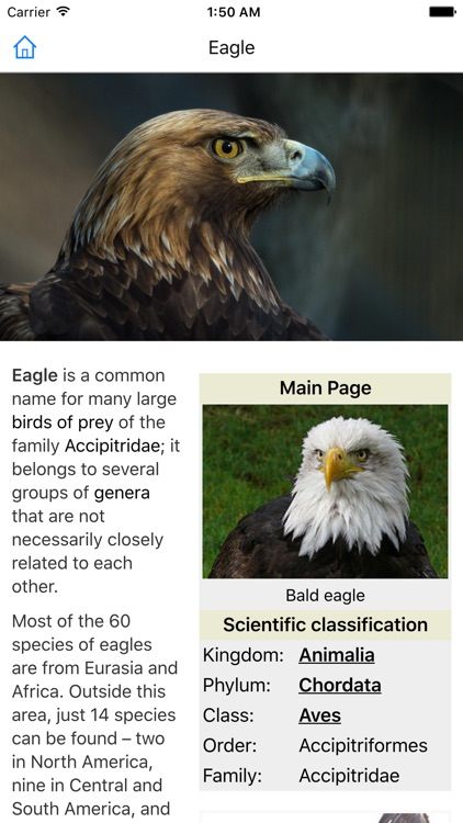 CHI Encyclopedia of Animals screenshot-4