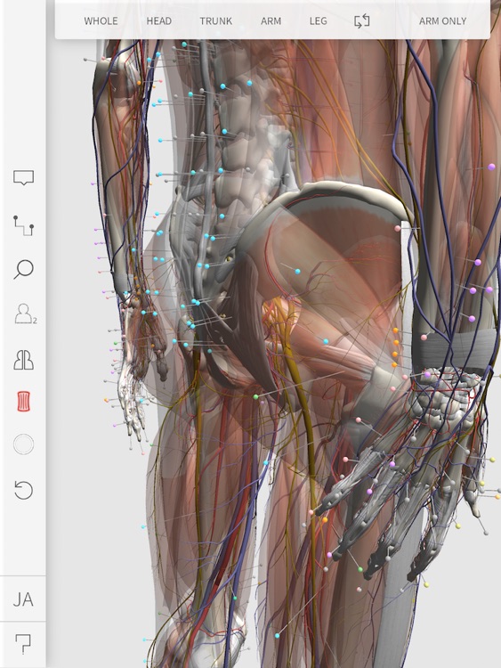3D Acupoint