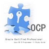 OCP(Oracle Certified Professional): Practical Guide Cards with Key Insights and Daily Inspiration
