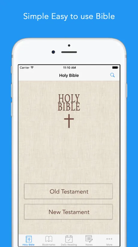 Bible in Basic English ( BBE )