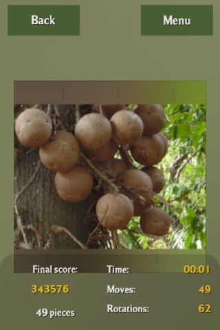 Fruits Puzzles Box screenshot 4