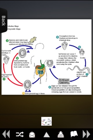 Infectious Diseases Details + screenshot 2