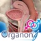 3D Organon Anatomy - Reproductive and Urinary Systems