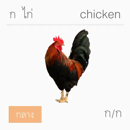 ท่องจำ กขค อ่านอัตโนมัติ Читы