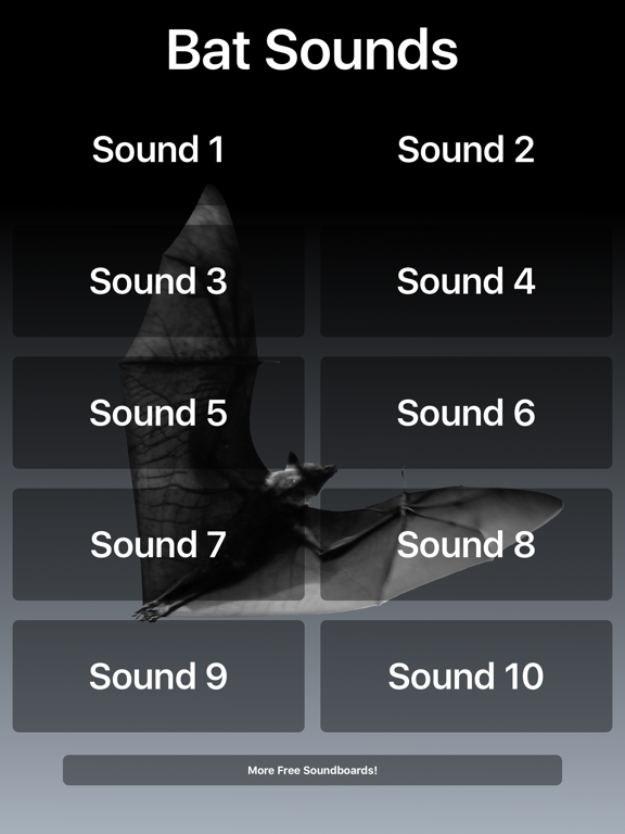 Bat Sounds!